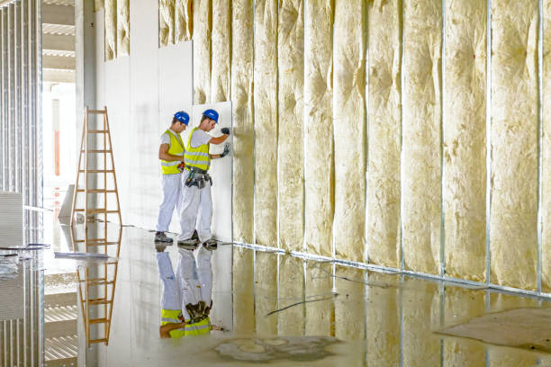 Best Insulation Installation Services in Tunica Resorts, MS